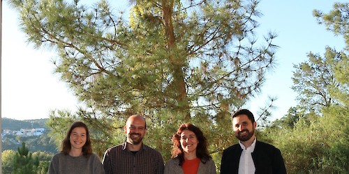Equipa da Universidade de Coimbra desenvolve novos bioprocessos para reciclar resíduos de painéis fotovoltaicos