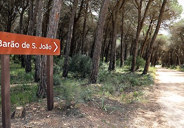 Lagos está na rota do Algarviana Ultra Trail