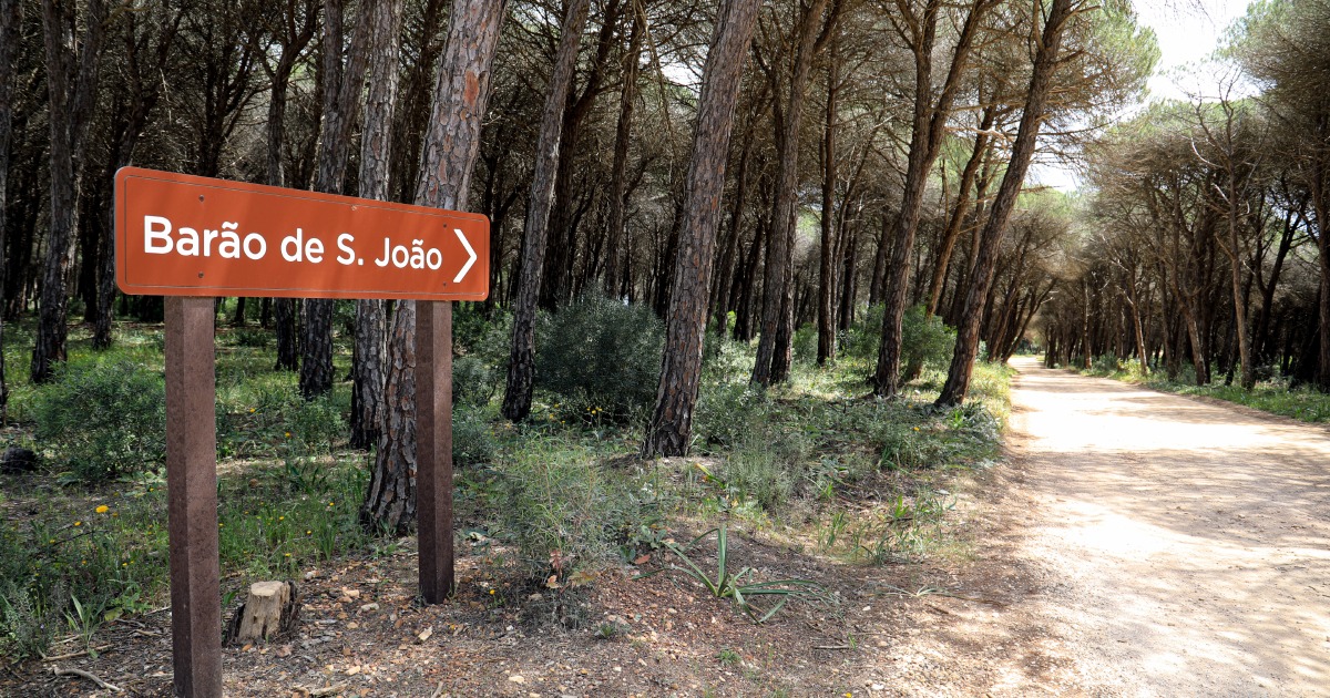 Lagos está na rota do Algarviana Ultra Trail