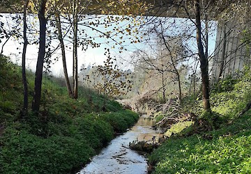 Universidade de Coimbra apresenta projecto de 5 milhões que vai estudar a relação entre a saúde humana e os ecossistemas aquáticos urbanos