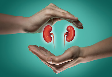 Sociedades médicas e associação de doentes apelam ao reconhecimento da doença renal crónica como prioridade de saúde pública
