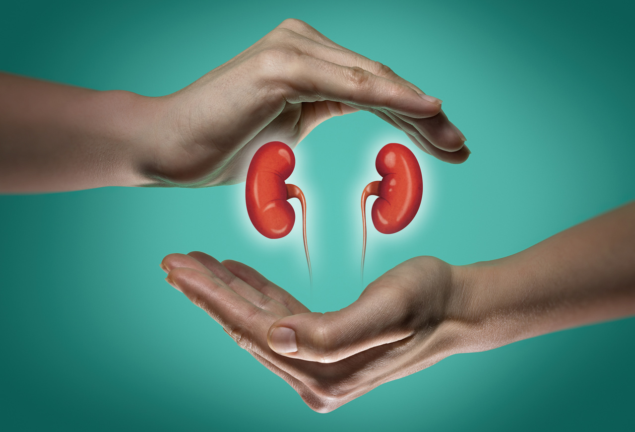 Sociedades médicas e associação de doentes apelam ao reconhecimento da doença renal crónica como prioridade de saúde pública