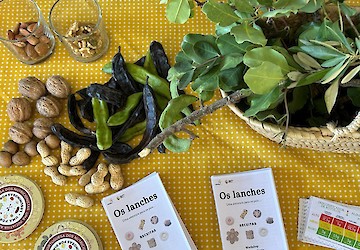 Programa lanches saudáveis foi um sucesso para miúdos e graúdos