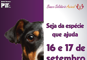 Banco Solidário Animal (BSA) está de volta para apoiar animais em risco