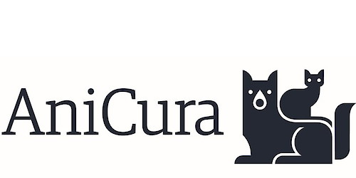 Doença cardíaca é uma das principais causas de doença e morte em cães e gatos