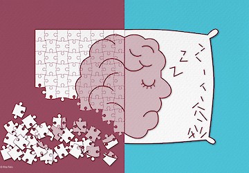 Cientistas portugueses recebem mais de 90 mil euros para investigar processos que levam à morte neuronal em doença autoimune rara
