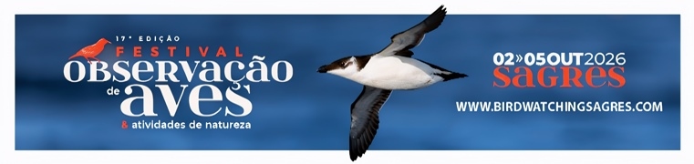 (Z1) 2024 - CM de Vila do Bispo - Birdwatching