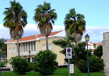 Vila do Bispo atribui 18 bolsas de estudo no valor total de 73.950,00 euros