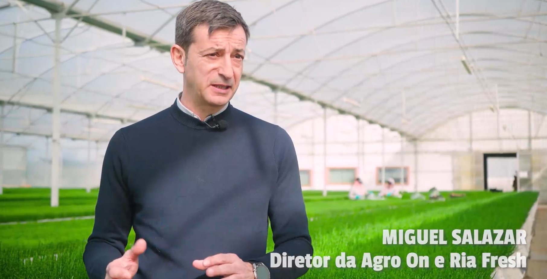 Agricultura: um ativo estratégico para o Algarve