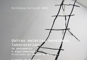 Fortaleza de Sagres: Outras matérias sensíveis, laboratórios de pensamento e experimentação