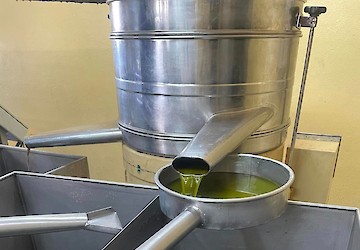 Prémio Inovação Dieta Mediterrânica: vencedores de 2024 dão início à Edição 2025