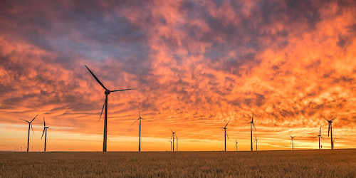 Algarve sob pressão: nova vaga de projetos eólicos e solares ameaça biodiversidade