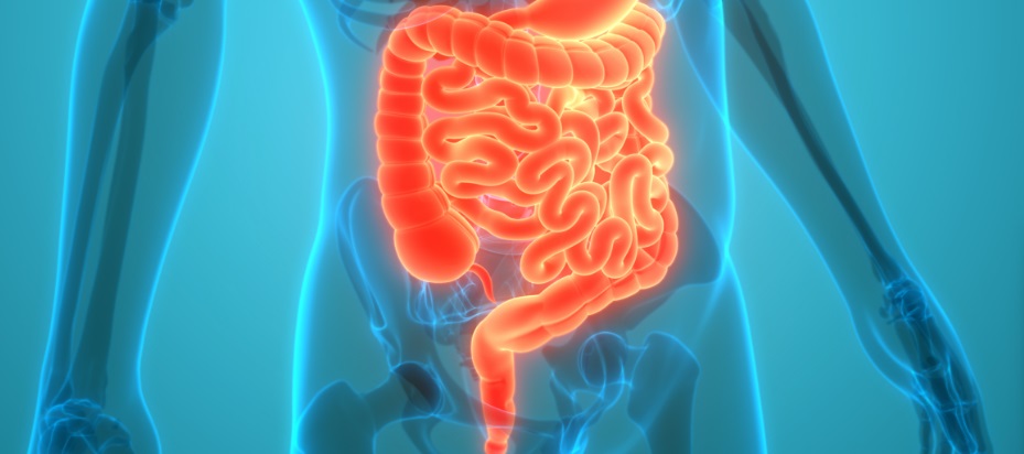 É preciso mais sensibilização e apoio para as pessoas com Síndrome do Intestino Curto