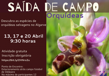 Saídas de Campo Projeto EcoScience – OPP Portugal