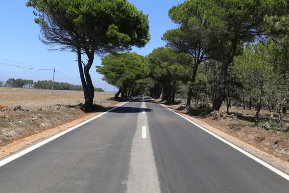 Trânsito condicionado entre Carrapateira e Bordeira