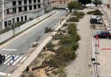 Lagos Mais Verde – urgência de estratégia e planeamento por parte da Câmara Municipal em articulação com outros parceiros defensores do ambiente