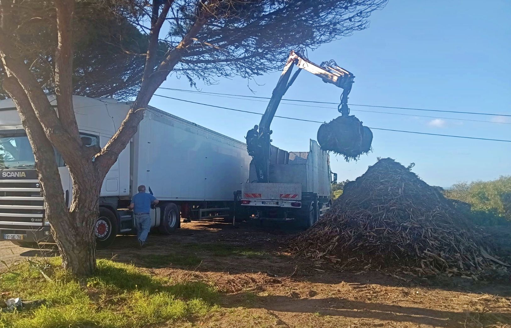 Aljezur: Trituração e remoção de resíduos verdes