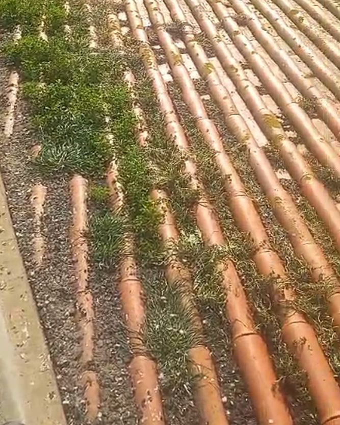 Limpeza de telhado do Arquivo Histórico de Aljezur