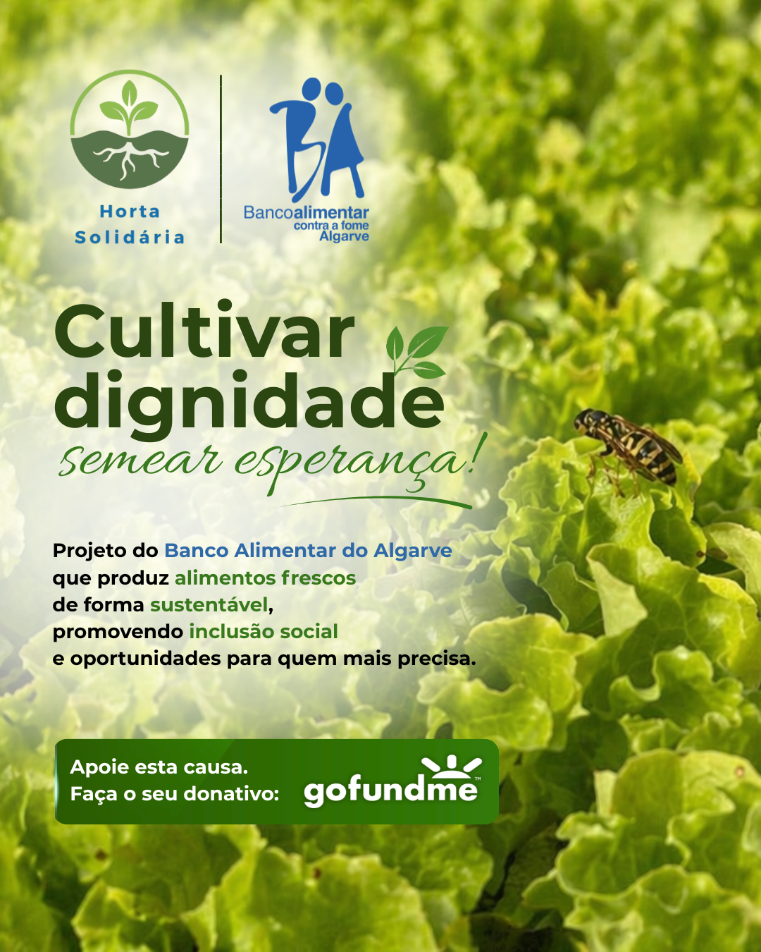 Banco Alimentar do Algarve quer expandir projeto ambiental a vários concelhos