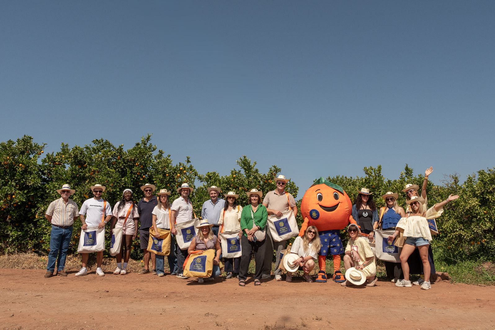 Citrinos do Algarve IGP querem conquistar consumidores europeus