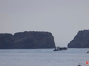 Chegou ao fim o 17º Festival de Observação de Aves & Actividades de Natureza de Sagres voando mais uma vez para o sucesso - 1