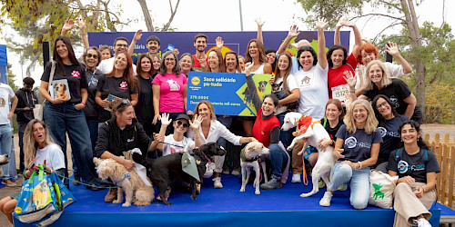 LIDL Portugal entrega 270 mil euros para apoiar mais de 12 300 animais em todo o país