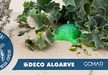 Plástico à Vista! Livre-se Dessa Espécie!