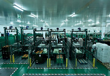 ALGARVE 2020 APOIA PME COM PROJECTOS DE INVESTIGAÇÃO EM CO-PROMOÇÃO