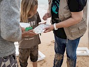 10ª edição do festival das aves trouxe centenas de visitantes ao concelho de Vila do Bispo - 1