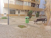 Pernada de árvore gigante e perigosa cai em jardim esquecido na Marina Sol - 1
