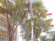 Equipa da Câmara Municipal de Lagos já fez intervenção no jardim da Marina Sol - 1