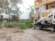 Equipa da Câmara Municipal de Lagos já fez intervenção no jardim da Marina Sol - 1