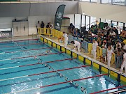 Os atletas já estão a dar as primeiras braçadas no Campeonato Nacional de Clubes da 3ªdivisão em Lagos - 1