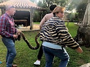 Zoo de Lagos recebe Piton reticulada apreendida - 1