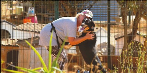 Dia Mundial dos  Animais Abandonados