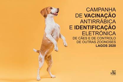 Campanha de vacinação e identificação electrónica de cães arranca em Lagos
