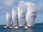 Clube de Vela de Lagos foi o grande vencedor da Liga Vela Portugal - Lusíadas Saúde - 1
