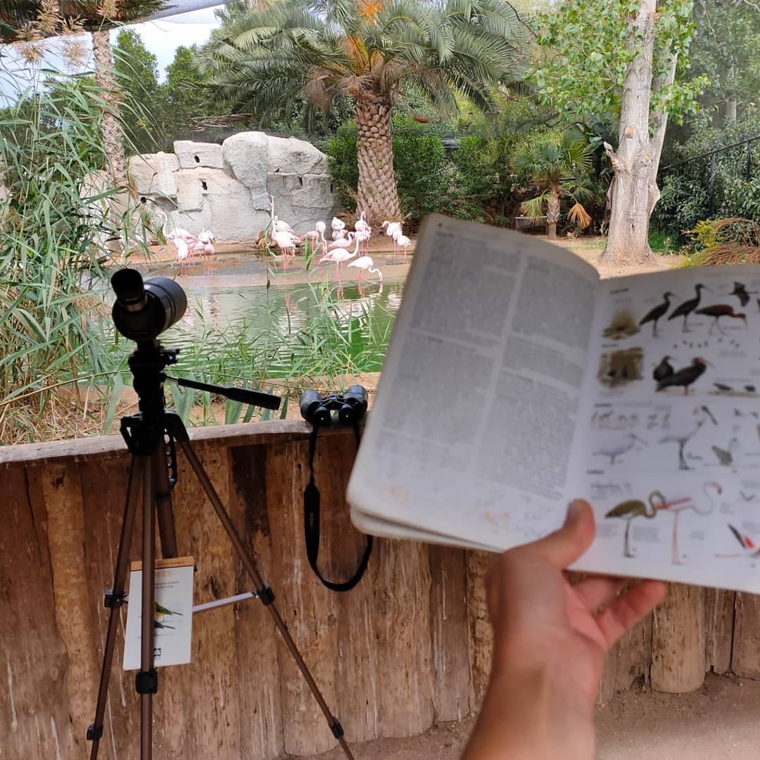 Últimas inscrições para o curso de observação de aves no Zoolagos