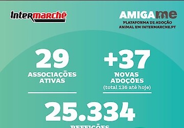 Campanha solidária do Intermarché doa mais de 25 mil refeições a animais abandonados
