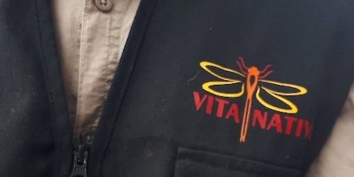 Alojamento Local para Aves já trouxe algumas surpresas em Aljezur