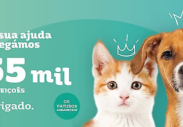 Intermarché entrega mais de 65 mil refeições para animais abandonados