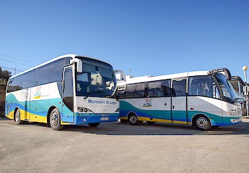 Lagos. Autárquicas 2021: Câmara disponibiliza transporte gratuito para os locais de voto