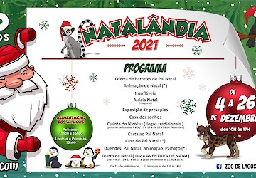 O Zoo de Lagos volta a celebrar o Natal de 4 a 26 de Dezembro